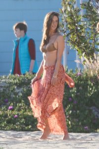Alessandra Ambrosio Sexy TheFappeningBlog.com 13.jpg