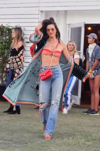 Alessandra Ambrosio Sexy Photos TheFappeningBlog.com 24.jpg