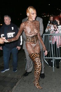 Winnie Harlow See Through Nude TheFappeningBlog.com 3.jpg