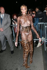Winnie Harlow See Through Nude TheFappeningBlog.com 1.jpg
