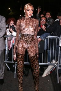 Winnie Harlow See Through Nude TheFappeningBlog.com 20.jpg