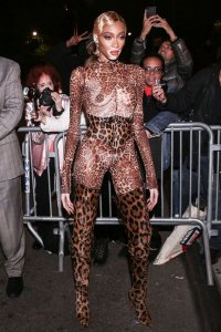 Winnie Harlow See Through Nude TheFappeningBlog.com 21.jpg