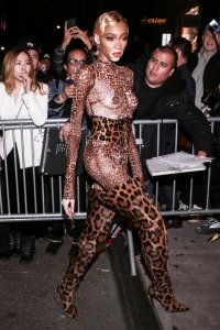 Winnie Harlow See Through Nude TheFappeningBlog.com 22.jpg