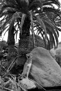 Dorota Korotko Nude TheFappeningBlog.com 6.jpg