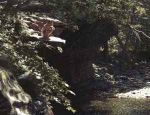 Lone Praesto Nude TheFappeningBlog.com 4.jpg