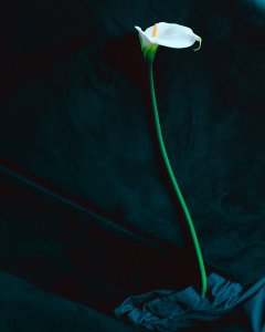 Elena Kantaria Nude TheFappeningBlog.com 4.jpg