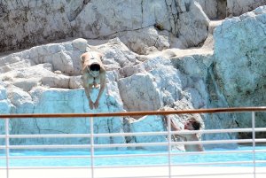 Michelle Rodriguez Sexy TheFappeningBlog.com 26.jpg