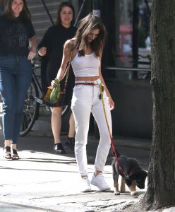 Emily Ratajkowski Braless See Through Nude TheFappeningBlog.com 8.jpg