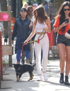 Emily Ratajkowski Braless See Through Nude TheFappeningBlog.com 42.jpg