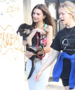 Emily Ratajkowski Braless See Through Nude TheFappeningBlog.com 112.jpg