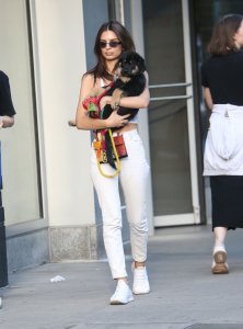 Emily Ratajkowski Braless See Through Nude TheFappeningBlog.com 115.jpg