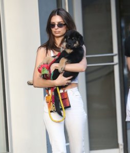 Emily Ratajkowski Braless See Through Nude TheFappeningBlog.com 116.jpg