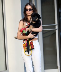 Emily Ratajkowski Braless See Through Nude TheFappeningBlog.com 118.jpg