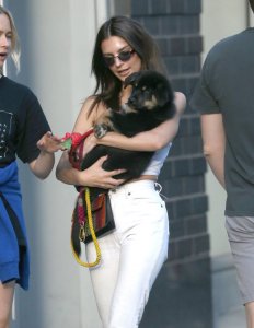 Emily Ratajkowski Braless See Through Nude TheFappeningBlog.com 124.jpg