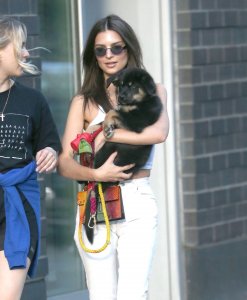 Emily Ratajkowski Braless See Through Nude TheFappeningBlog.com 127.jpg