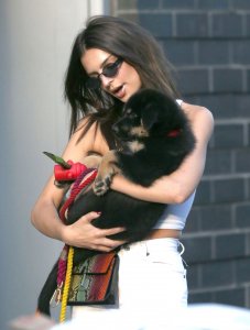 Emily Ratajkowski Braless See Through Nude TheFappeningBlog.com 135.jpg