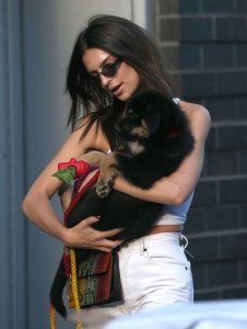Emily Ratajkowski Braless See Through Nude TheFappeningBlog.com 136.jpg