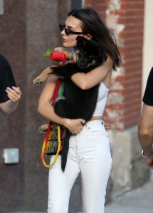 Emily Ratajkowski Braless See Through Nude TheFappeningBlog.com 142.jpg