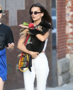 Emily Ratajkowski Braless See Through Nude TheFappeningBlog.com 146.jpg