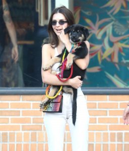 Emily Ratajkowski Braless See Through Nude TheFappeningBlog.com 149.jpg