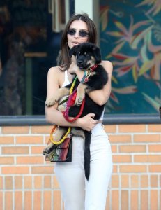 Emily Ratajkowski Braless See Through Nude TheFappeningBlog.com 153.jpg