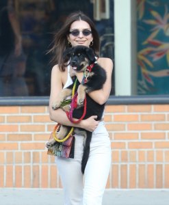 Emily Ratajkowski Braless See Through Nude TheFappeningBlog.com 158.jpg