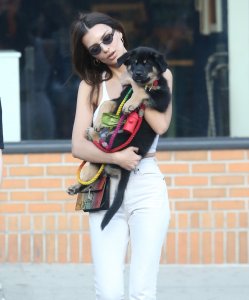 Emily Ratajkowski Braless See Through Nude TheFappeningBlog.com 164.jpg