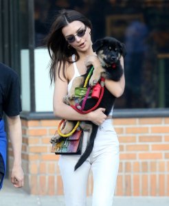 Emily Ratajkowski Braless See Through Nude TheFappeningBlog.com 168.jpg