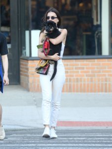 Emily Ratajkowski Braless See Through Nude TheFappeningBlog.com 171.jpg