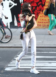 Emily Ratajkowski Braless See Through Nude TheFappeningBlog.com 178.jpg