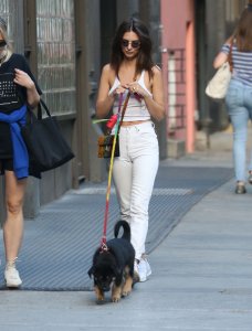 Emily Ratajkowski Braless See Through Nude TheFappeningBlog.com 183.jpg