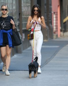 Emily Ratajkowski Braless See Through Nude TheFappeningBlog.com 186.jpg