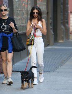 Emily Ratajkowski Braless See Through Nude TheFappeningBlog.com 191.jpg