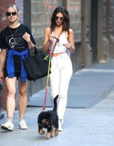 Emily Ratajkowski Braless See Through Nude TheFappeningBlog.com 193.jpg