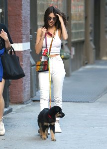 Emily Ratajkowski Braless See Through Nude TheFappeningBlog.com 196.jpg