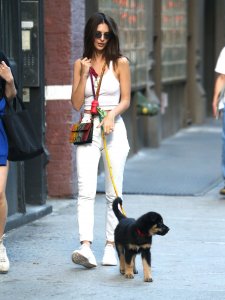 Emily Ratajkowski Braless See Through Nude TheFappeningBlog.com 202.jpg