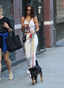 Emily Ratajkowski Braless See Through Nude TheFappeningBlog.com 205.jpg