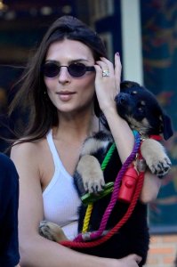 Emily Ratajkowski Braless See Through Nude TheFappeningBlog.com 220.jpg