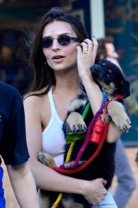 Emily Ratajkowski Braless See Through Nude TheFappeningBlog.com 224.jpg