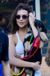 Emily Ratajkowski Braless See Through Nude TheFappeningBlog.com 226.jpg