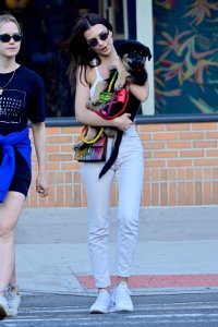 Emily Ratajkowski Braless See Through Nude TheFappeningBlog.com 227.jpg