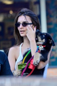 Emily Ratajkowski Braless See Through Nude TheFappeningBlog.com 241.jpg