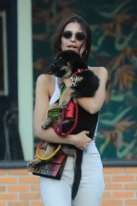 Emily Ratajkowski Braless See Through Nude TheFappeningBlog.com 248.jpg