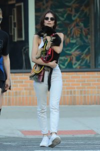 Emily Ratajkowski Braless See Through Nude TheFappeningBlog.com 249.jpg