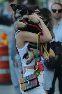 Emily Ratajkowski Braless See Through Nude TheFappeningBlog.com 250.jpg