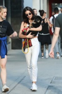 Emily Ratajkowski Braless See Through Nude TheFappeningBlog.com 261.jpg