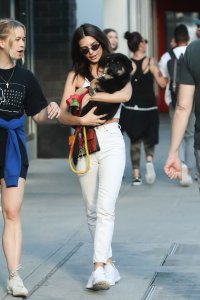 Emily Ratajkowski Braless See Through Nude TheFappeningBlog.com 262.jpg