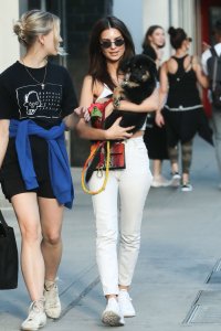 Emily Ratajkowski Braless See Through Nude TheFappeningBlog.com 263.jpg