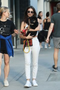 Emily Ratajkowski Braless See Through Nude TheFappeningBlog.com 265.jpg