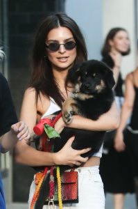 Emily Ratajkowski Braless See Through Nude TheFappeningBlog.com 264.jpg